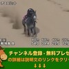 クイーンカップ（GIII） 【競馬調教】 アエロリット調教動画　