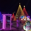 クリスマスに傷心で、イルミを見る