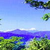 奥高尾と富士山
