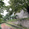 🇰🇷「広蔵市場再び！魅惑のおでんとマヤクキンパ！！」