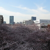 PowerShot G16を持って東京の桜を試し撮り