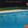 Peter Hammill 「This Book」