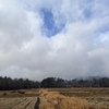 2025/01/07 火曜日　七草粥