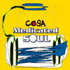 Medicated Soul / Cosa