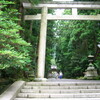 弥彦神社・茅の輪くぐり2009［新潟県西蒲原郡弥彦村］