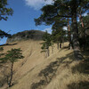 船上山〜甲ヶ山