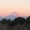 今朝の景色