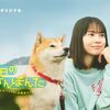 おそらく製作費をかなり抑えられるドラマ『今日のさんぽんた』地上波放送開始。今のフジにピッタリか…