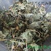 美味しい「自家製どくだみ茶」が私のアレルギーに効果的！！　作り方とブレンド法！