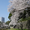 石垣の博物館「石積み技法」