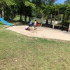 近くの公園
