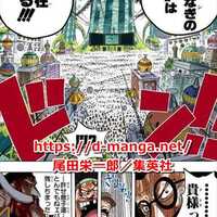 ワンピース考察 10人目の仲間の ヤバい正体 とは 10人目は ビビ で確定 ヤマトが大穴 カタクリ ロー サボ モモの助説まとめ ドル漫