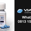 Viagra Jakarta  081315160678