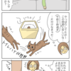 あら子は今日も眠れない
