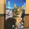 岩合光昭『とらねこ』写真展に行ってみた