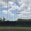 大阪桐蔭対大商大堺(春季大阪大会4回戦)