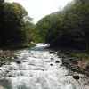 口三方岳(1269m)　残雪を踏む