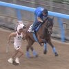競馬アプリ「JRA-VAN」のCMで「なかやまきんに君（くん）」は何と言っているのか