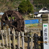 春の陽気