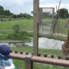 鹿児島市平川動物公園に行きました