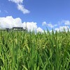 これからも何事もなければいいけどな
