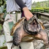 宮崎市フェニックス自然動物園の「トワイライトZOOウォッチャー」がすごく良かった！