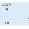 2024年桜花賞予想