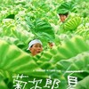 菊次郎の夏..summer