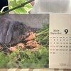 コタの排便助けたい