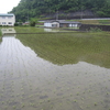 珍しいお客さんが、、