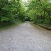 尖山（夏椿ルート、下山）