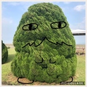hoshiho☆ブログ