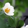 6月16日　月