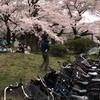 『自転車活用推進法が一日に施行された』