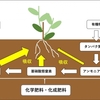窒素肥料の土の中での変化　化学肥料と有機肥料の違いについて