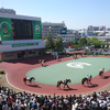 今日は競馬日和