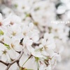 【春休み】習い事のない日々。意外にも心地よさを感じています。