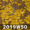 週報 2019W50