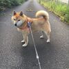 小さな平屋の家に大勢でお泊り