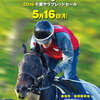 【千葉サラブレッドセール2016(2歳)】は本日開催!(午前8時より公開調教スタート)