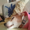 アジ練習