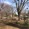 駒沢公園