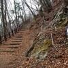 山梨百名山　〜黒岳(1793m)〜