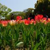 契約の自由について