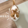 ふたりでお出迎え。