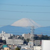 冠雪「富士山」くっきり！！