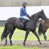 早速２日にゲート試験に挑戦。無事１発で合格してくれました。３日にＮＦしがらきへ放牧済。ＪＲＡの競走馬登録も完了しました。☆グレイシャーパーク