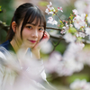 桜花爛漫  惜しむ春❣️ なるはちゃん その6 ─ リクエスト撮影 2024.4.11 松川周辺 ─