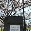 「マダム倶楽部」活動報告　川沿いの公園も桜満開♪　4月4日（2019）