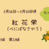 【七十二候】第23候　紅花栄（べにばなさかう）：この時期の養生法